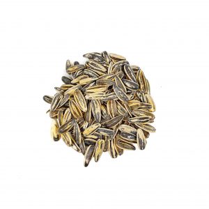 PIPAS GIGANTES AGUASAL